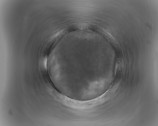 X0000111840047200907301059