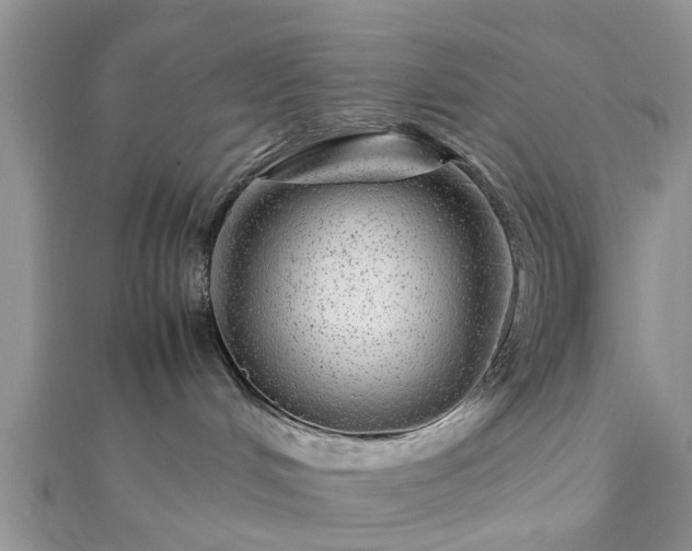 X0000111840048200907301059