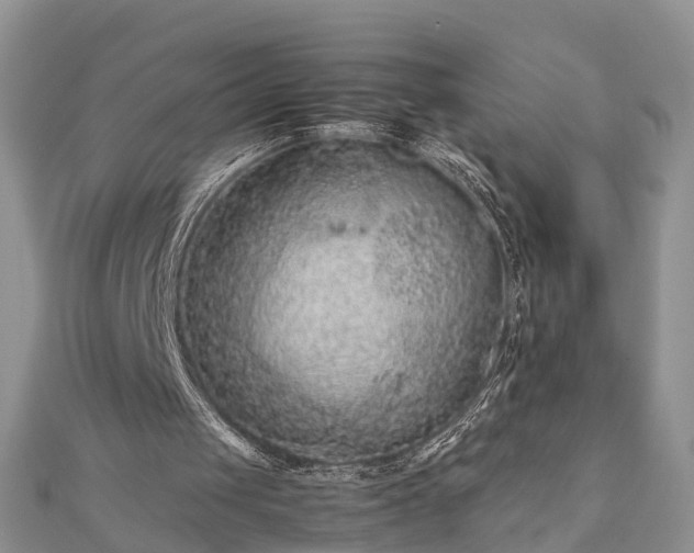 X0000111840049200907301058