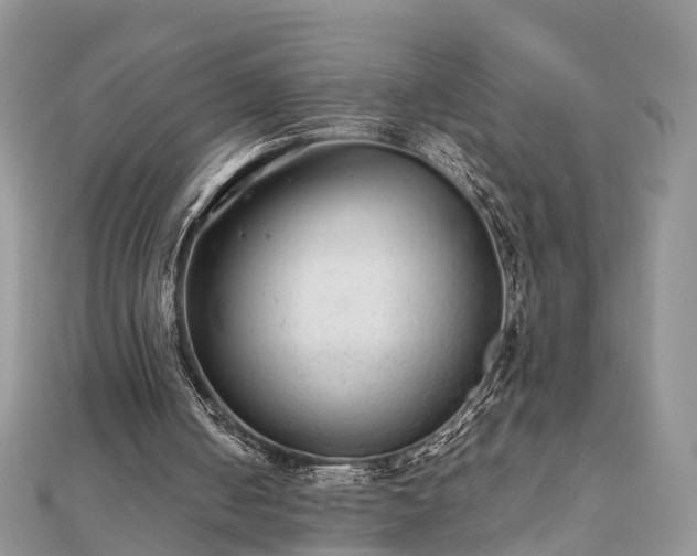 X0000111840050200907301058