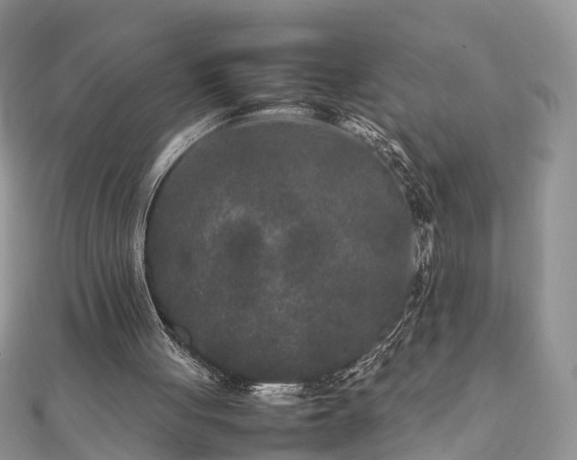 X0000111840051200907301058