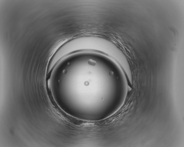 X0000111840052200907301058