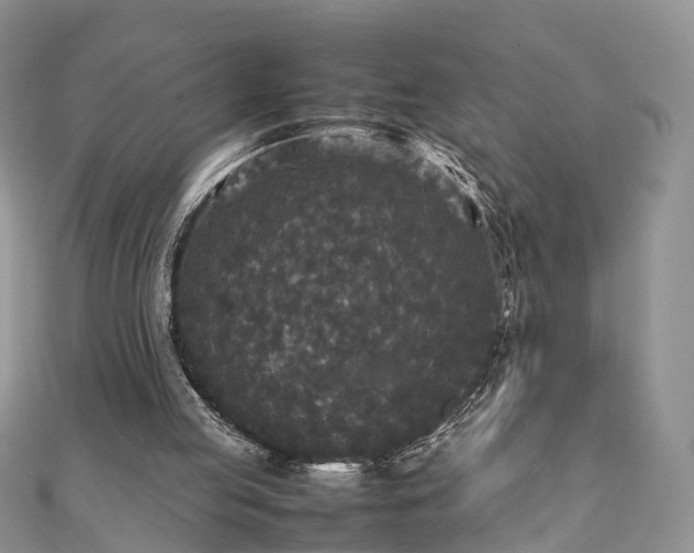 X0000111840053200907301058