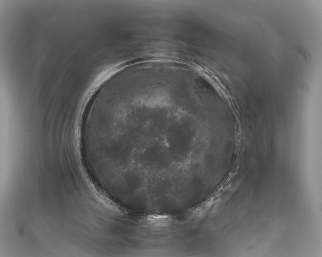 X0000111840055200907301058