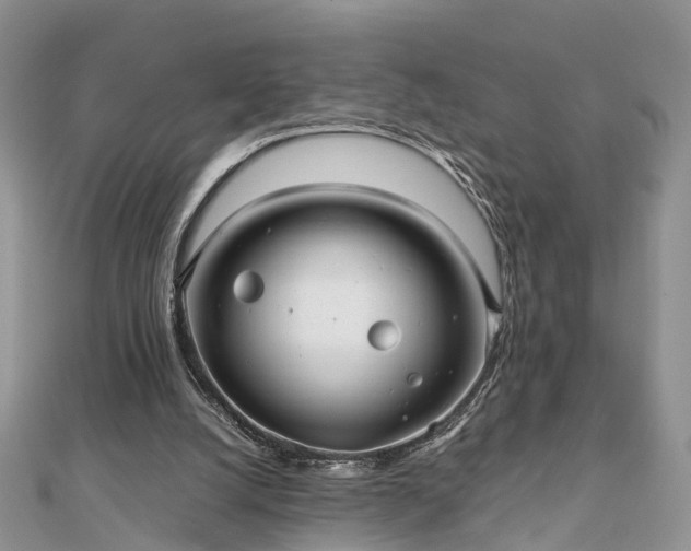 X0000111840056200907301058