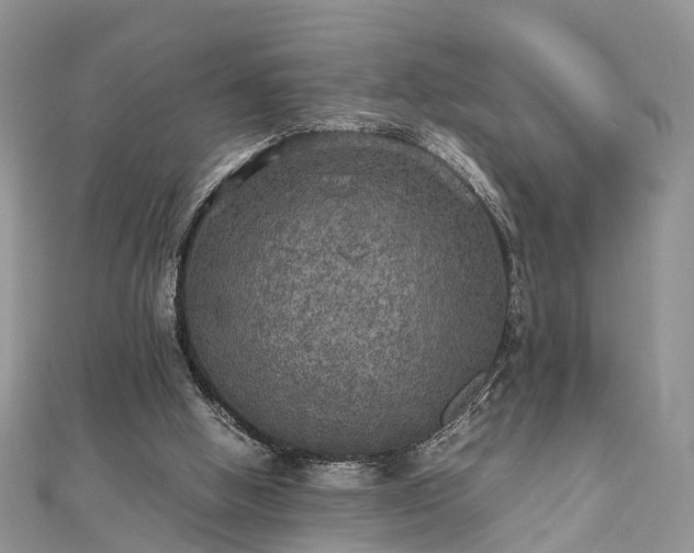 X0000111840058200907301058