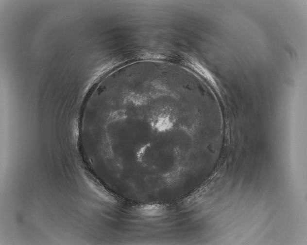 X0000111840059200907301058