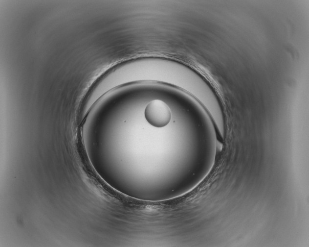 X0000111840060200907301058