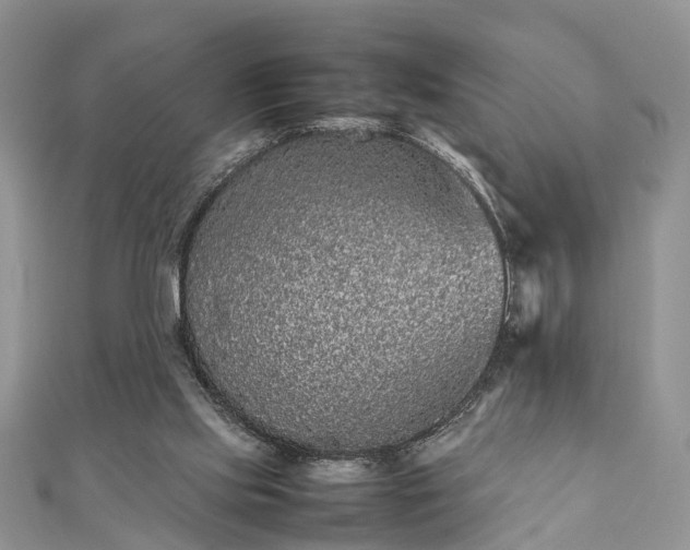 X0000111840061200907301058