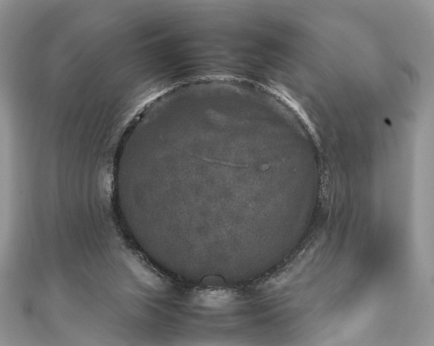 X0000111840063200907301058