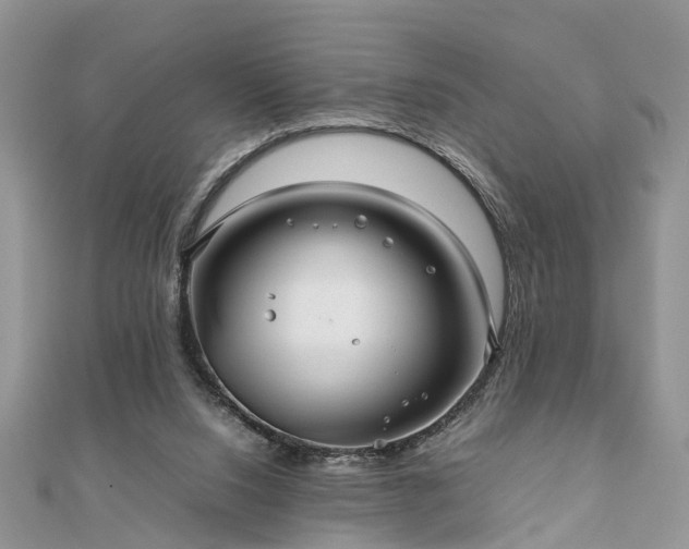 X0000111840064200907301059