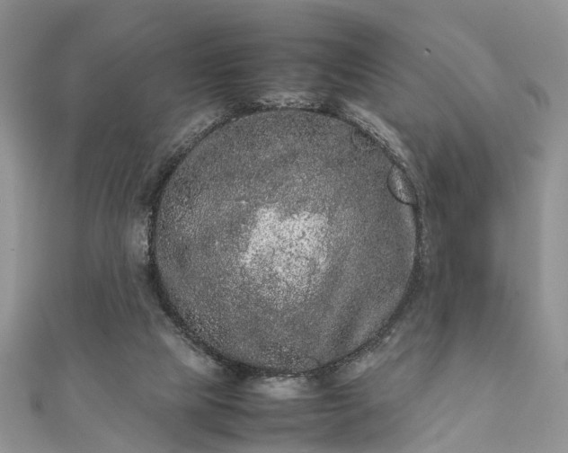 X0000111840065200907301059