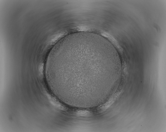 X0000111840066200907301059