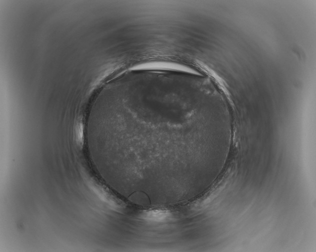 X0000111840067200907301059