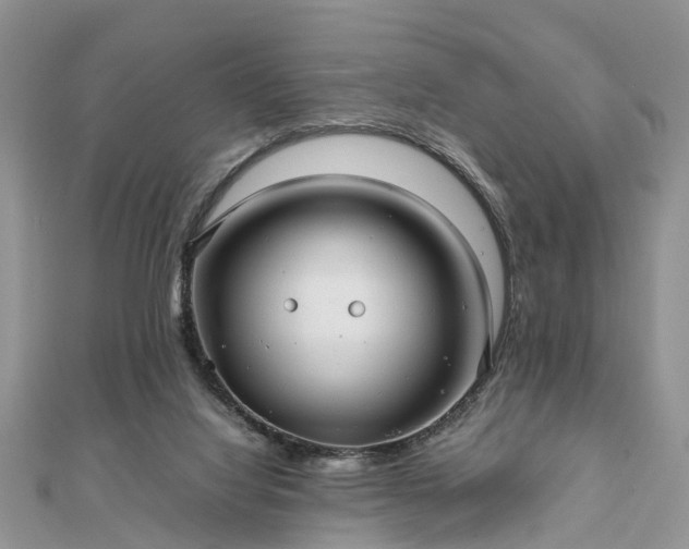 X0000111840068200907301059