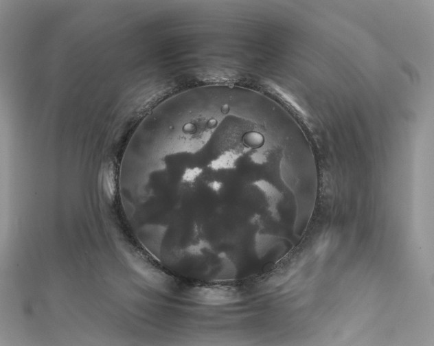 X0000111840069200907301059