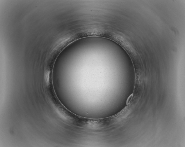 X0000111840070200907301059