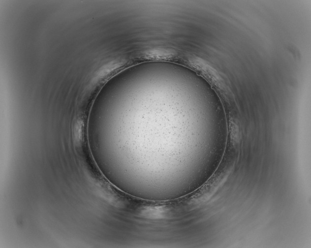 X0000111840071200907301059