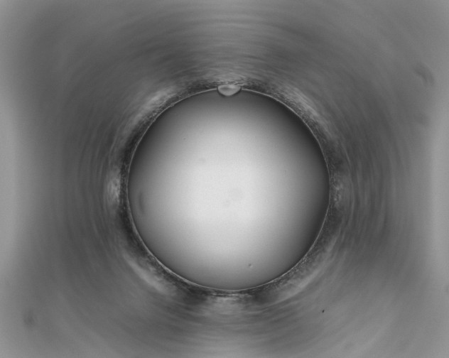 X0000111840072200907301059