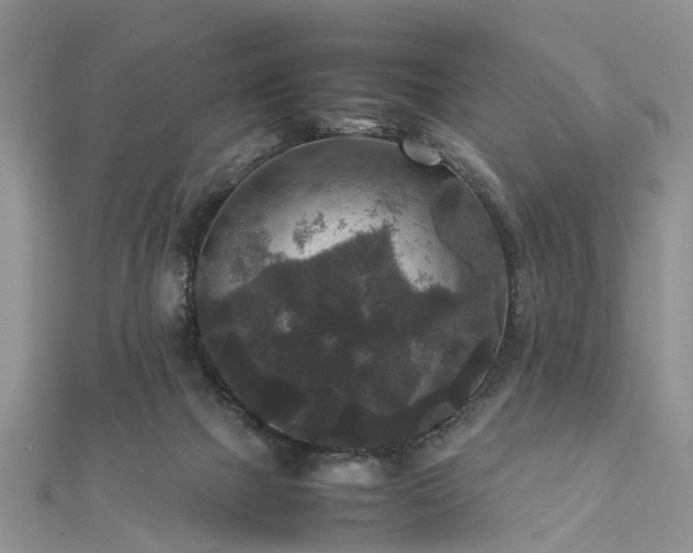 X0000111840073200907301059