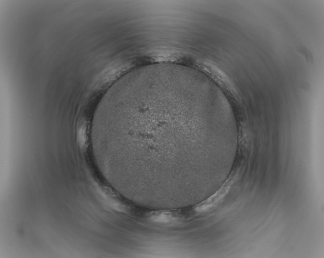 X0000111840074200907301059