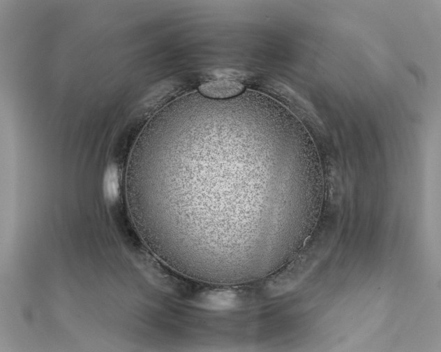 X0000111840075200907301059