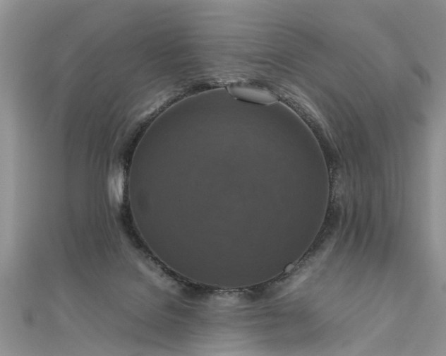 X0000111840076200907301059