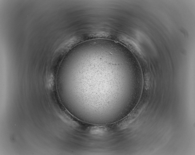 X0000111840077200907301059