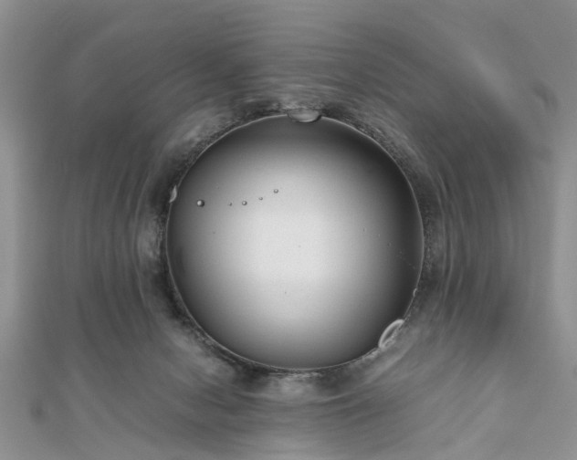 X0000111840078200907301059