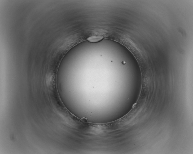 X0000111840079200907301059