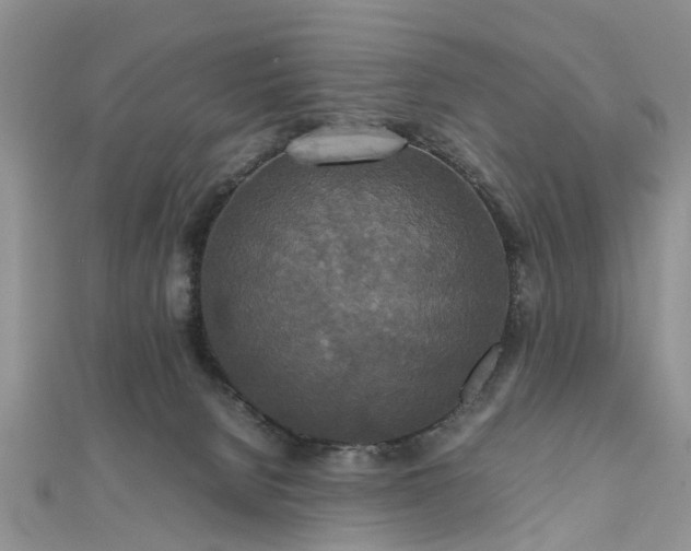 X0000111840080200907301059