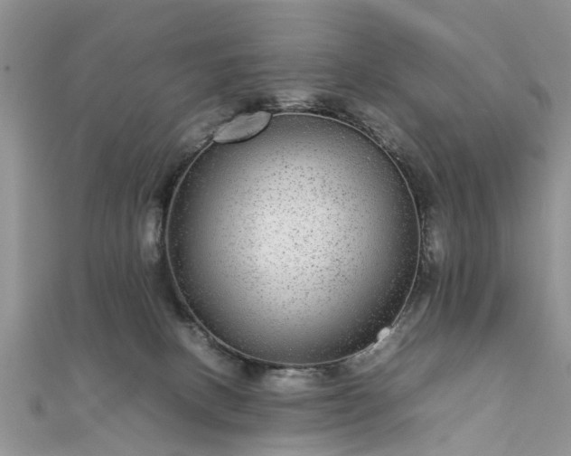 X0000111840082200907301059