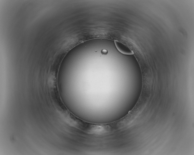 X0000111840083200907301059