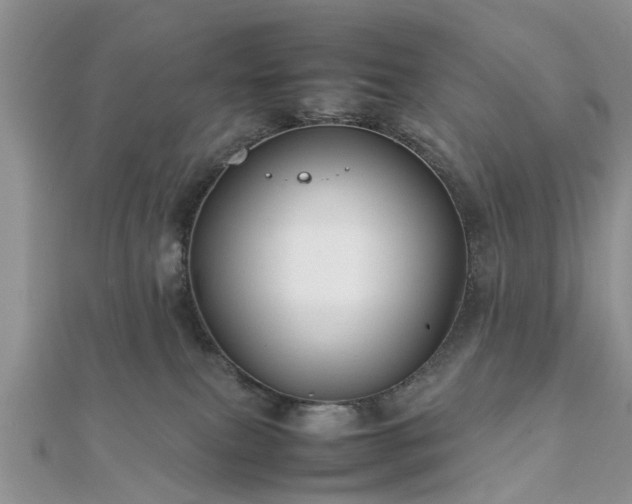 X0000111840087200907301059