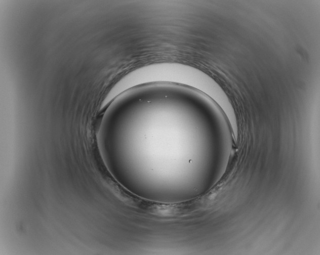 X0000111840088200907301059