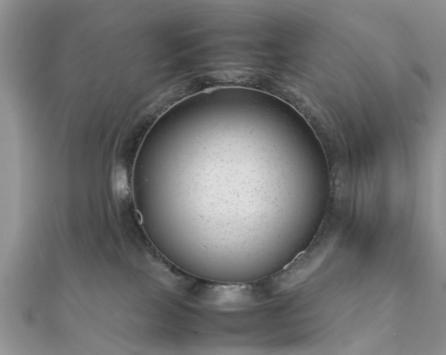 X0000111840089200907301059