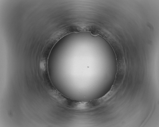 X0000111840090200907301059