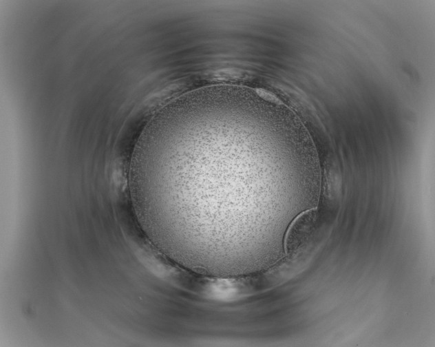 X0000111840091200907301059