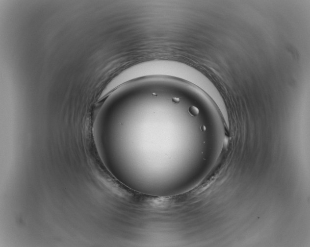 X0000111840092200907301059