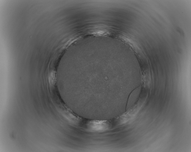 X0000111840093200907301059