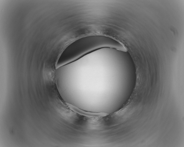 X0000111840096200907301059