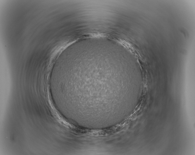 X0000111840097200907301058