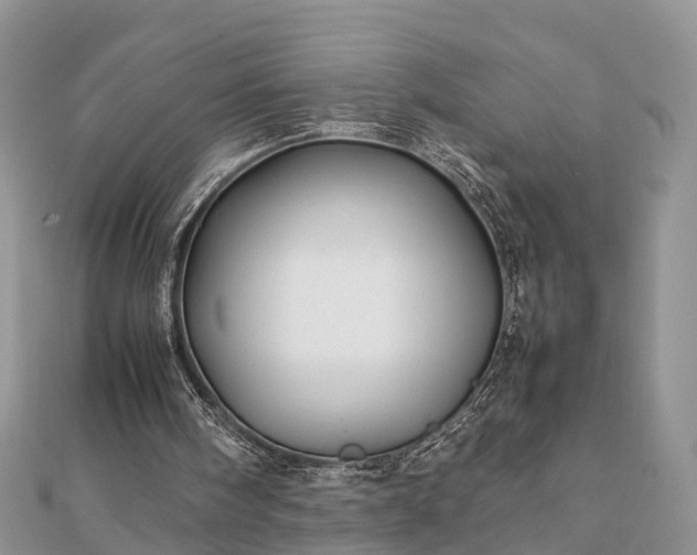 X0000111840098200907301058