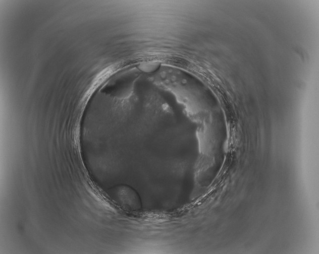 X0000111840099200907301058