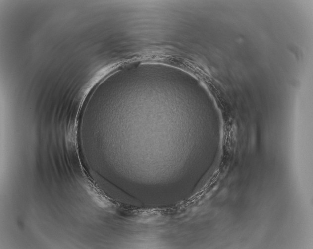 X0000111840100200907301058