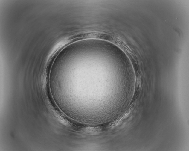 X0000111840101200907301058