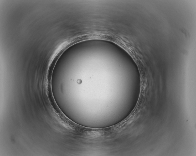 X0000111840102200907301058