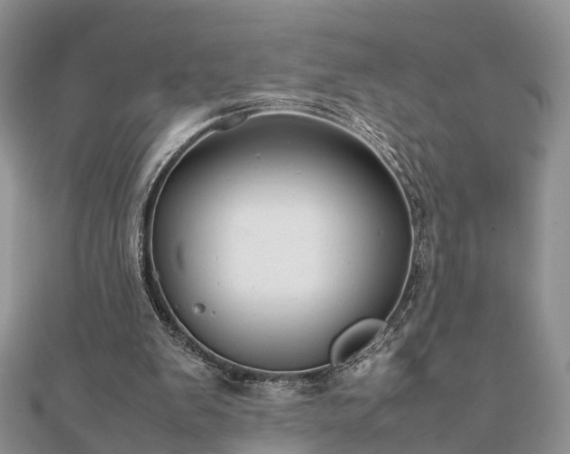 X0000111840103200907301058