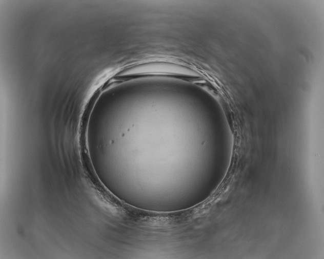 X0000111840104200907301058