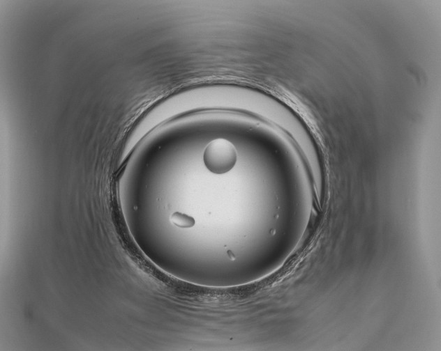 X0000111840105200907301058